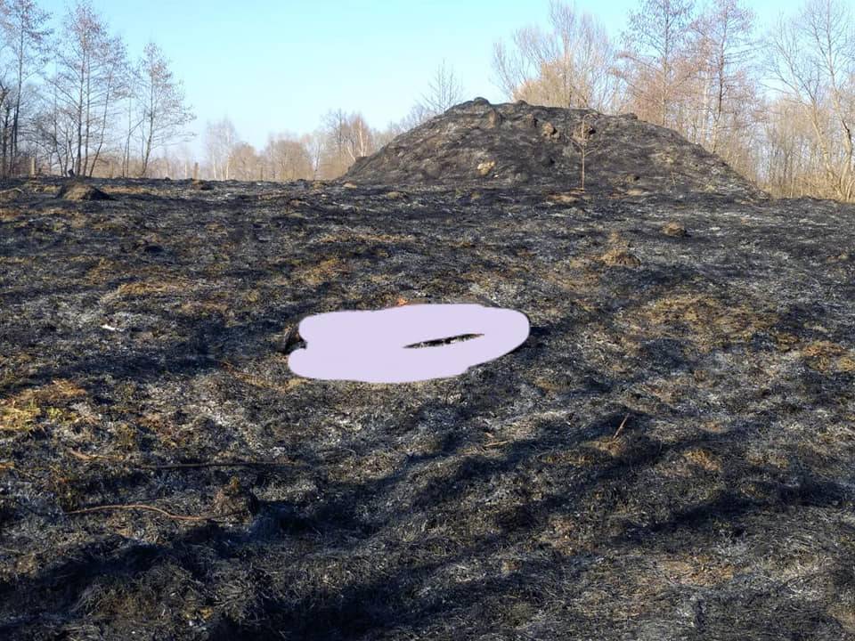 На Франківщині під час спалювання сухої трави загинула жінка ФОТО