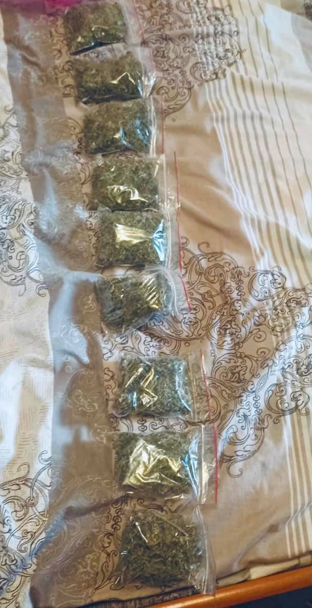 Майже пів кілограма канабіса вилучили правоохоронці у двох франківців,наркотики у франківську,поліція вилучила наркотики