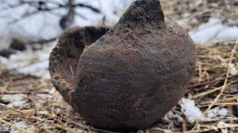 На Дніпропетровщині бійці тероборони, риючи окопи, натрапили на горщик епохи ранньої бронзи