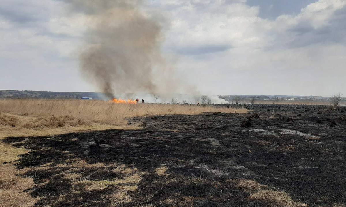 У Франківській МТГ за спалювання сухої трави оштрафували колишнього депутата ВІДЕО