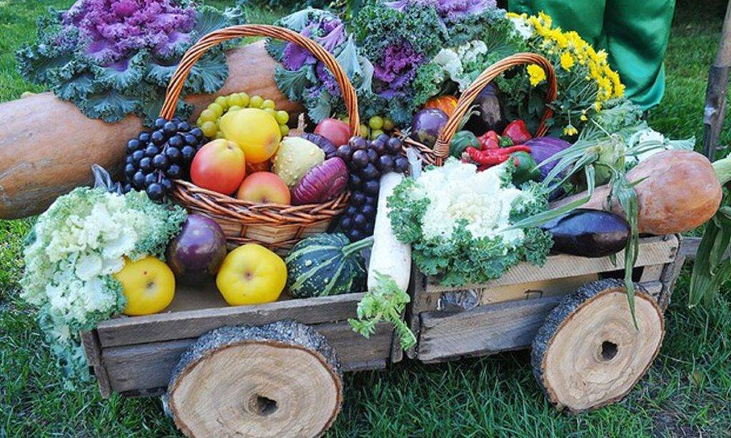 Через війну українців закликають вирощувати продукти на доступних земельних ділянках