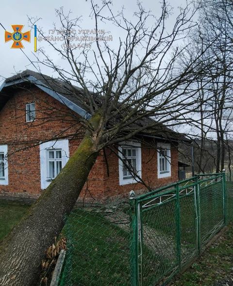 В Івано-Франківській області сильний вітер повалив дерево на будинок ФОТО