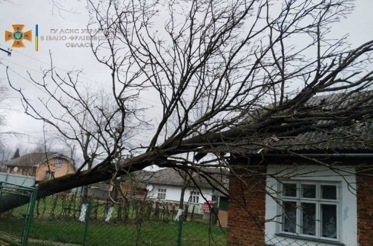 В Івано-Франківській області сильний вітер повалив дерево на будинок ФОТО