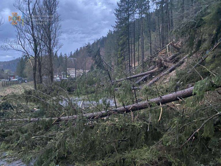 На Великдень у сусідній області вітер наробив шкоди ФОТО