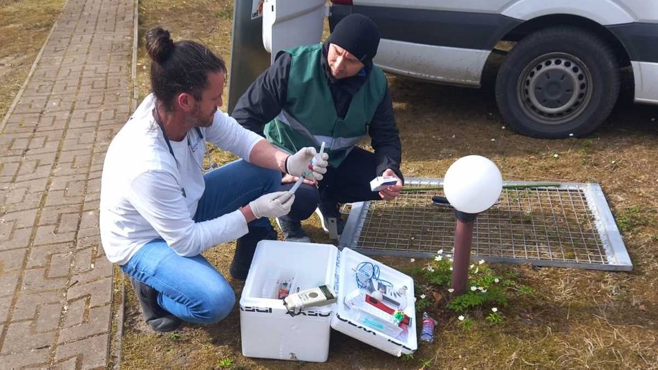 З Франківщини до зоопарку у Нідерландах перевезли ведмедицю ФОТО