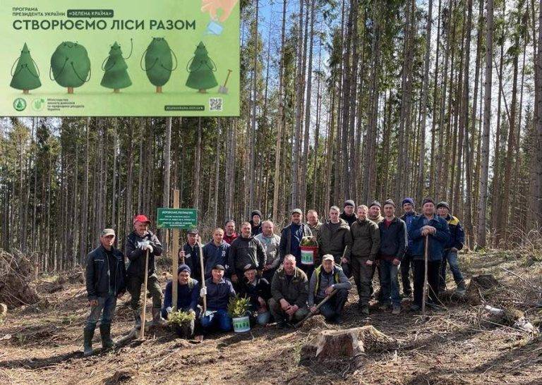 На території Івано-Франківської області продовжують висаджувати молоді ліси