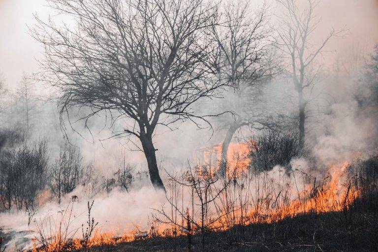 Прикарпатські пожежники тричі ліквідовували пожежі сухої трави