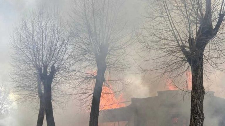 Арестович повідомив про 16-й удар по позиціях окупантів у Чорнобаївці