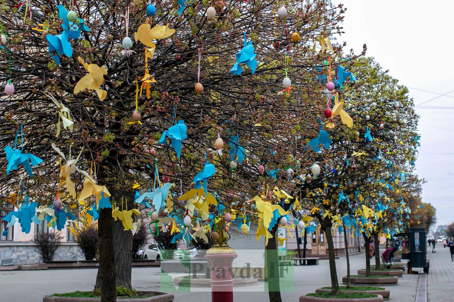 В Івано-Франківську прикрасили "стометрівку" до Великодніх свят ФОТОРЕПОРТАЖ