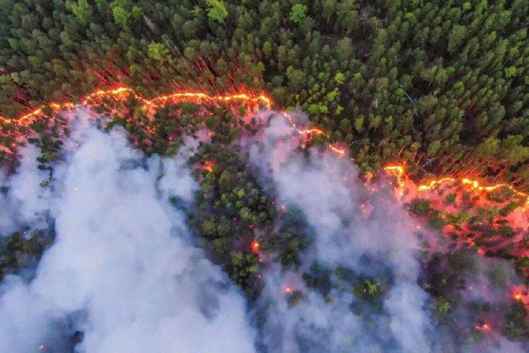 У Сибіру не справляються з масштабною пожежею, бо військові та літаки на війні