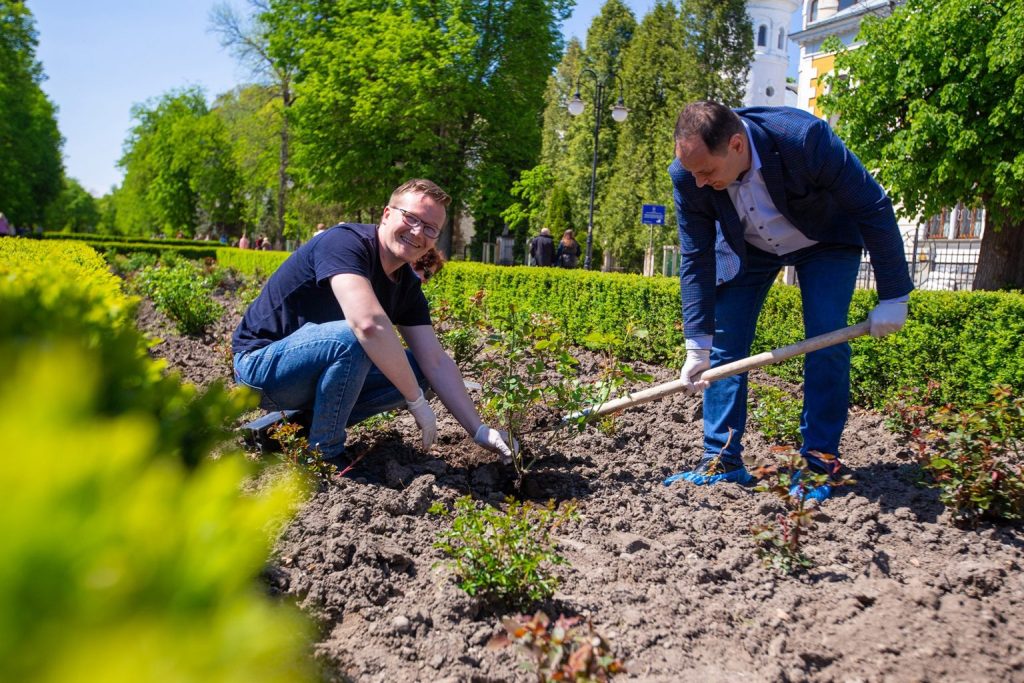 Традиційно до Дня матері у франківському парку висадили квіти,день матері,висадили квіти у франківську