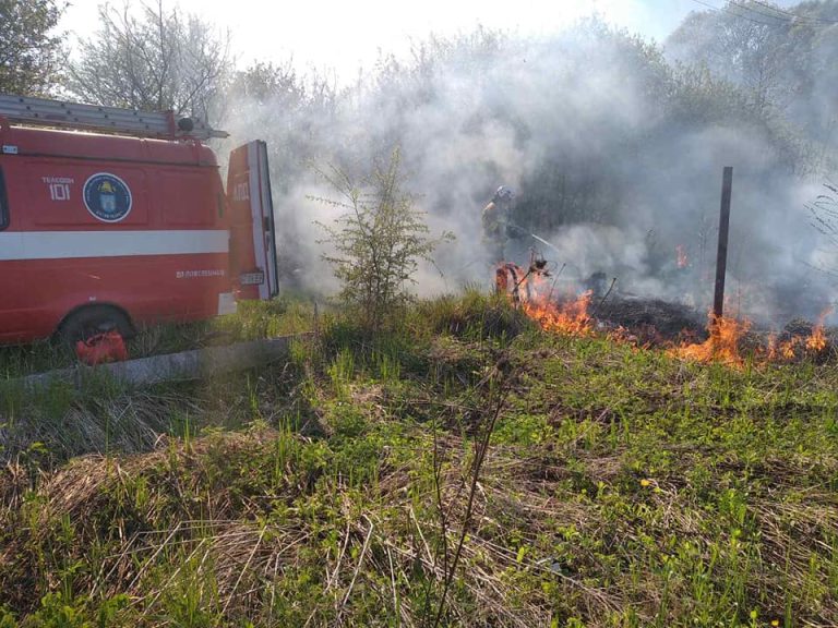 Франківські ґазди продовжують масово спалювати суху траву