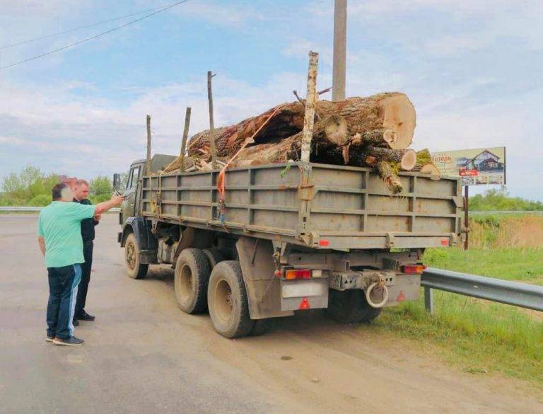 На Франківщині затримали вантажівки з незаконно зрубаною деревиною ФОТО