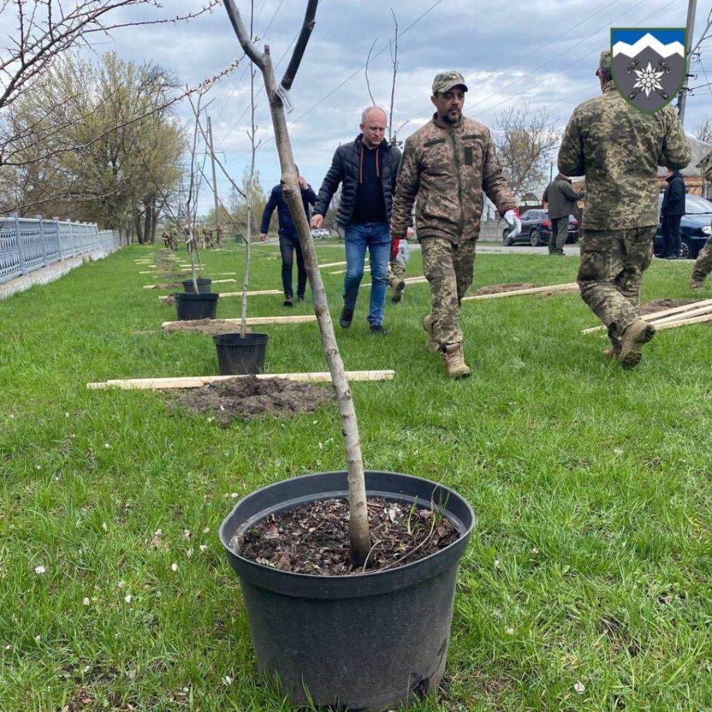 На Житомирщині висадили алею у пам'ять про загиблих героїв 10-ї гірсько-штурмової бригади ФОТО