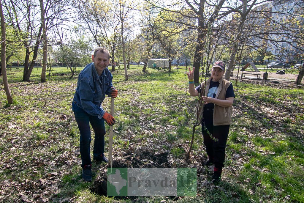 У Франківську висадили яблуні,яблуневий сад Перемоги,висадка яблунь в парку Молодіжний