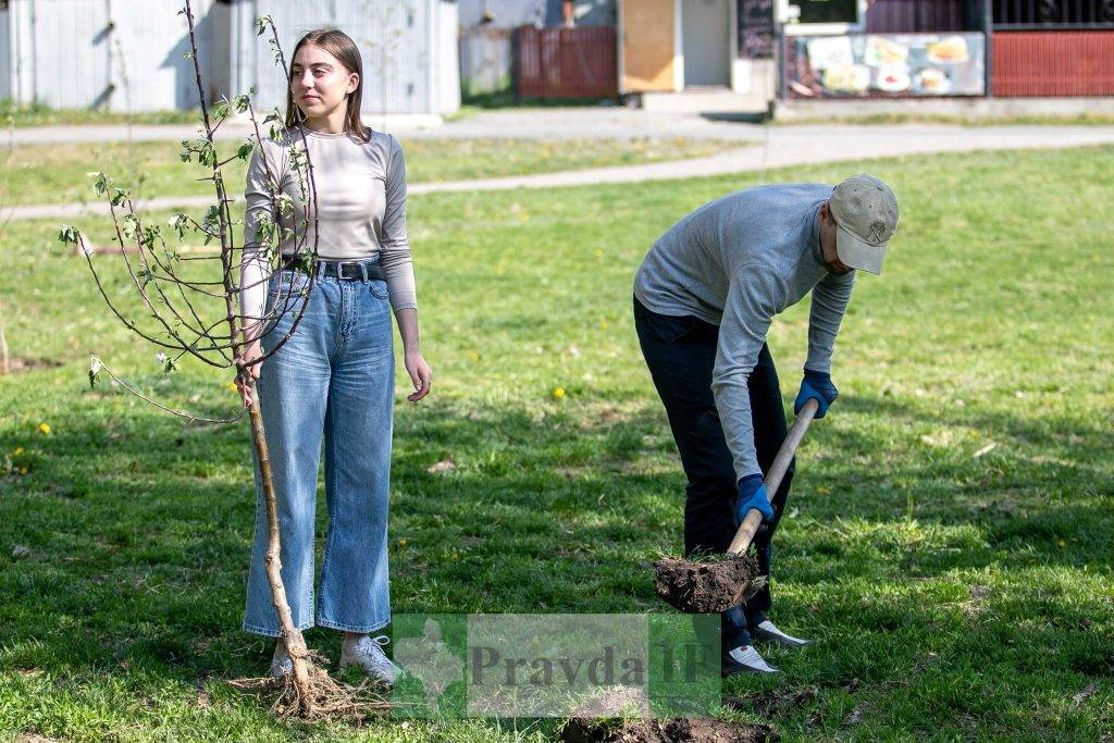 У Франківському парку Молодіжний висадили яблуневий сад "Перемоги" ФОТОРЕПОРТАЖ