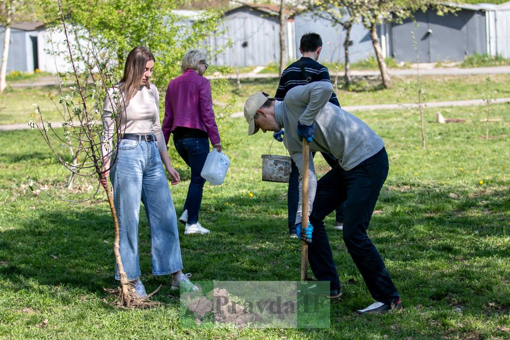 У Франківську висадили яблуні,яблуневий сад Перемоги,висадка яблунь в парку Молодіжний