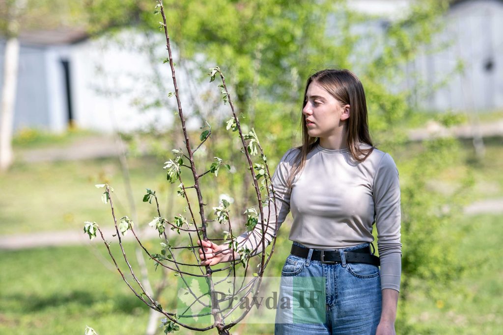У Франківську висадили яблуні,яблуневий сад Перемоги,висадка яблунь в парку Молодіжний