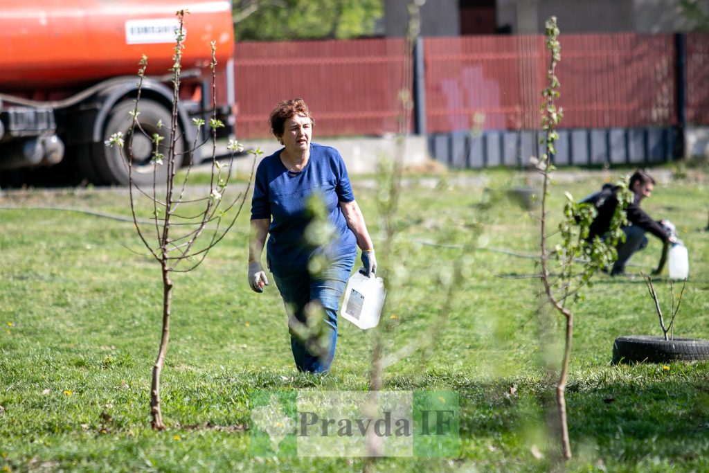 У Франківську висадили яблуні,яблуневий сад Перемоги,висадка яблунь в парку Молодіжний
