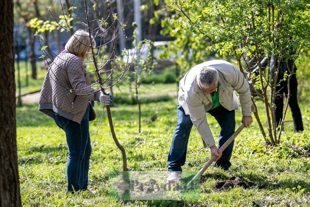 У Франківському парку Молодіжний висадили яблуневий сад "Перемоги" ФОТОРЕПОРТАЖ