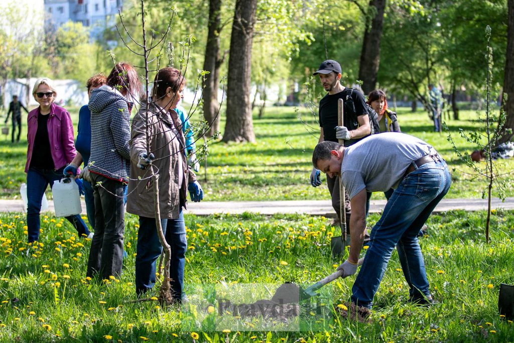 У Франківську висадили яблуні,яблуневий сад Перемоги,висадка яблунь в парку Молодіжний