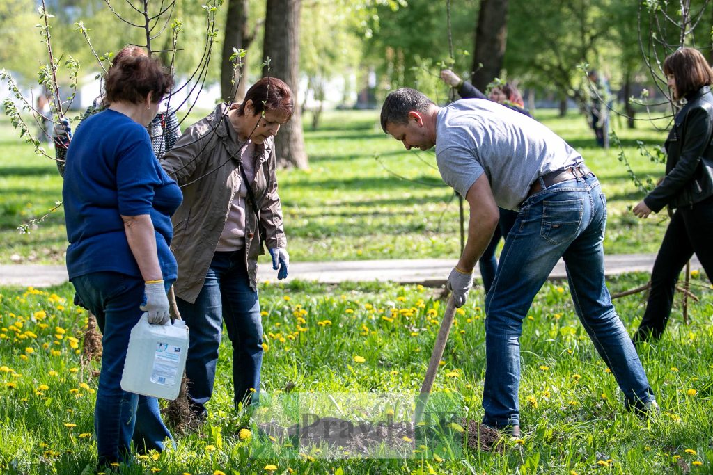 У Франківську висадили яблуні,яблуневий сад Перемоги,висадка яблунь в парку Молодіжний