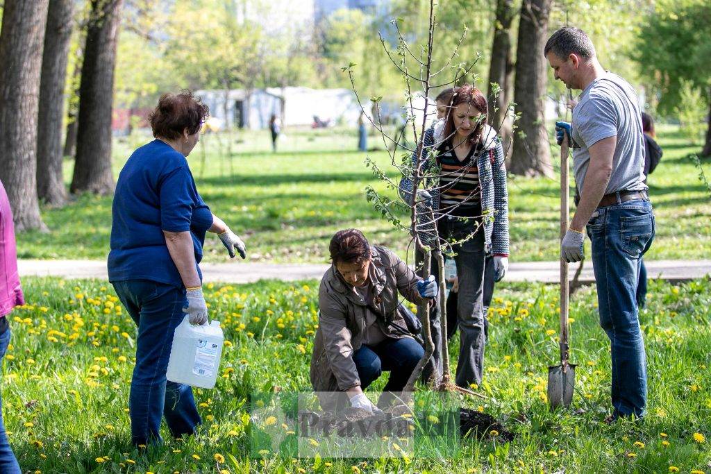 У Франківську висадили яблуні,яблуневий сад Перемоги,висадка яблунь в парку Молодіжний