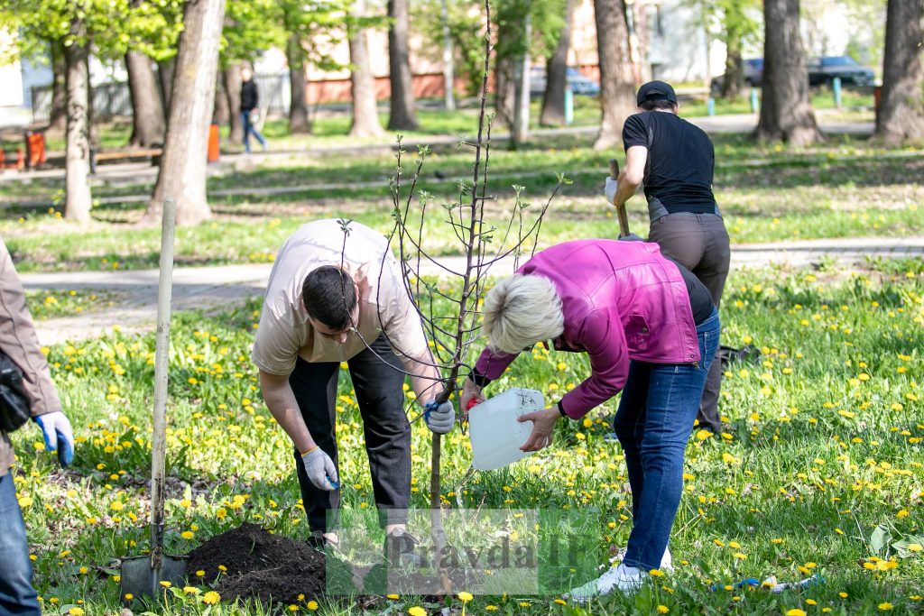 У Франківську висадили яблуні,яблуневий сад Перемоги,висадка яблунь в парку Молодіжний
