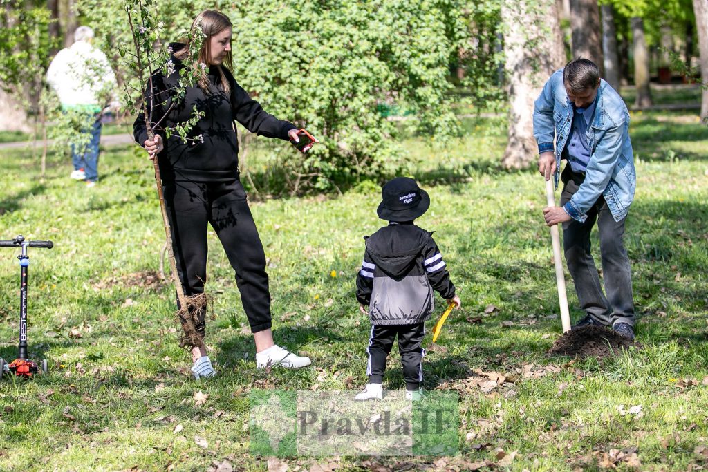 У Франківську висадили яблуні,яблуневий сад Перемоги,висадка яблунь в парку Молодіжний
