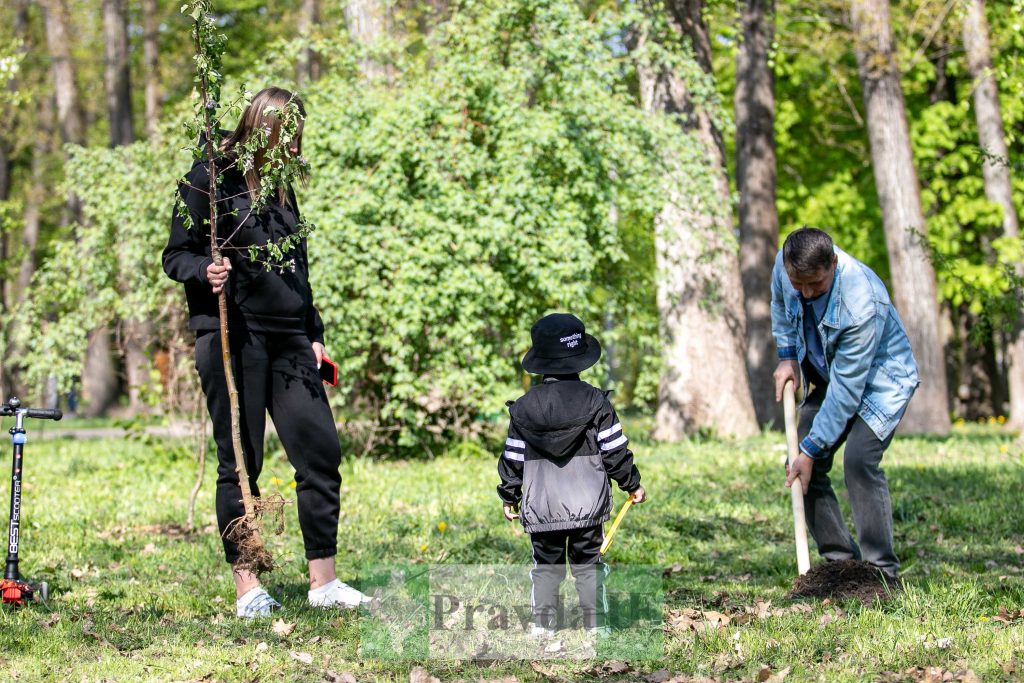 У Франківську висадили яблуні,яблуневий сад Перемоги,висадка яблунь в парку Молодіжний