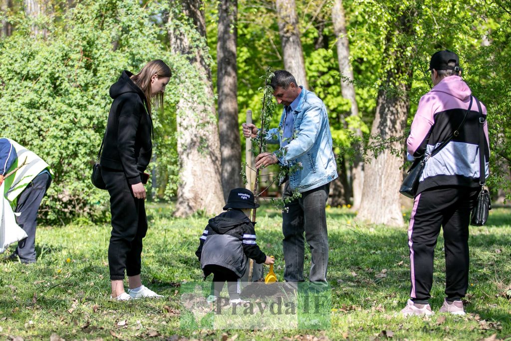 У Франківську висадили яблуні,яблуневий сад Перемоги,висадка яблунь в парку Молодіжний