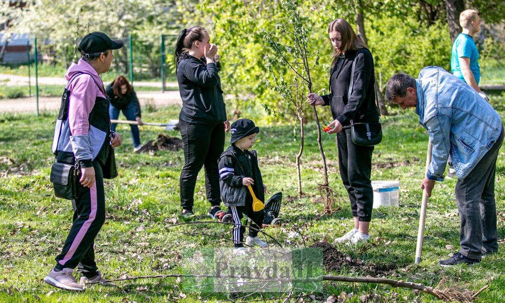 У Франківську висадили яблуні,яблуневий сад Перемоги,висадка яблунь в парку Молодіжний