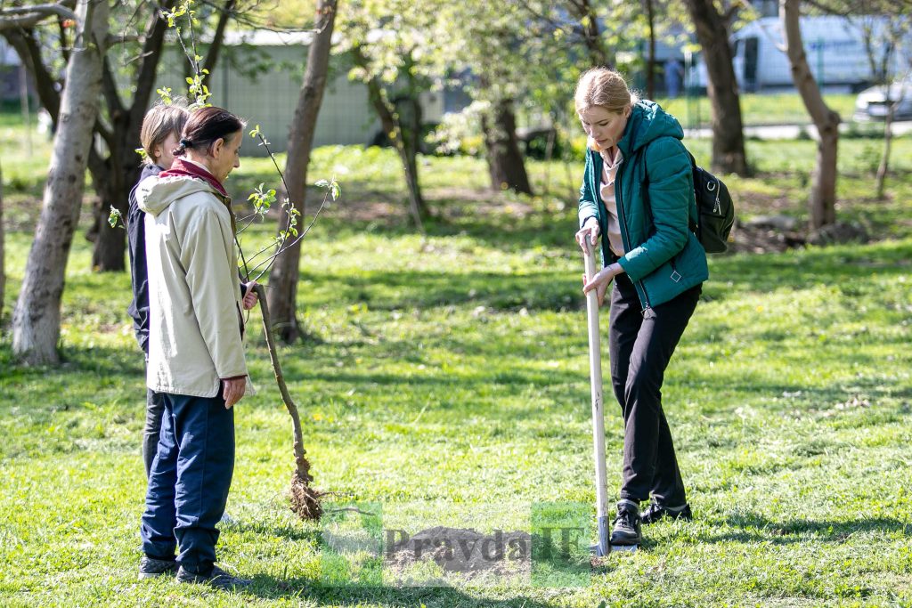 У Франківську висадили яблуні,яблуневий сад Перемоги,висадка яблунь в парку Молодіжний