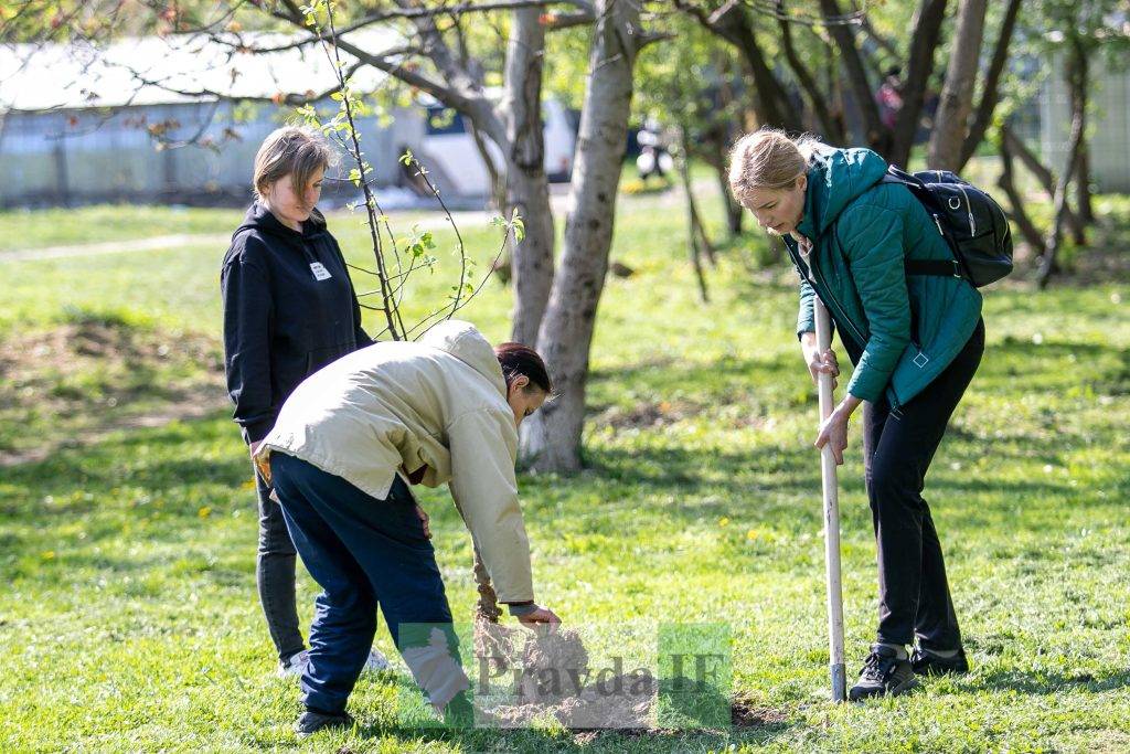 У Франківську висадили яблуні,яблуневий сад Перемоги,висадка яблунь в парку Молодіжний
