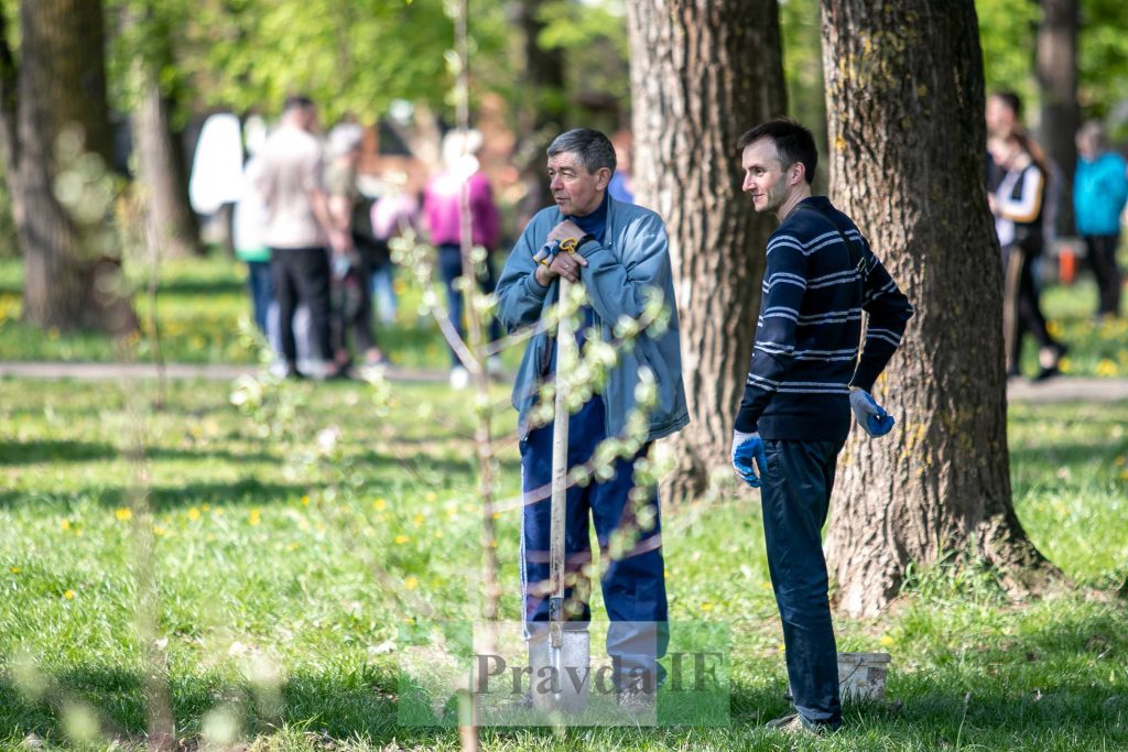 У Франківську висадили яблуні,яблуневий сад Перемоги,висадка яблунь в парку Молодіжний