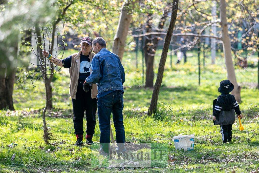 У Франківську висадили яблуні,яблуневий сад Перемоги,висадка яблунь в парку Молодіжний