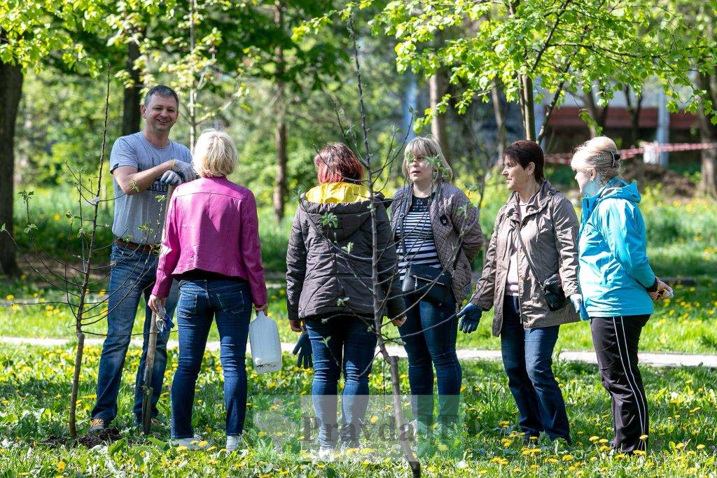 У Франківську висадили яблуні,яблуневий сад Перемоги,висадка яблунь в парку Молодіжний
