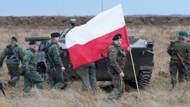 В Польщі підтвердили угоду, про постачання Україні зброї на суму понад 600 мільйонів доларів