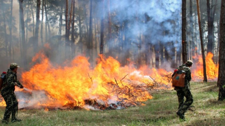 Найближчі кілька днів на Франківщині оголошено надзвичайно високу пожежну небезпеку