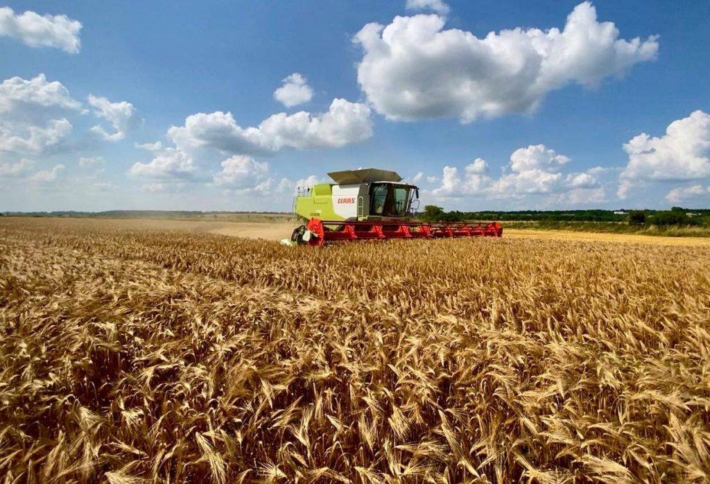 На Івано-Франківщині стартували жнива