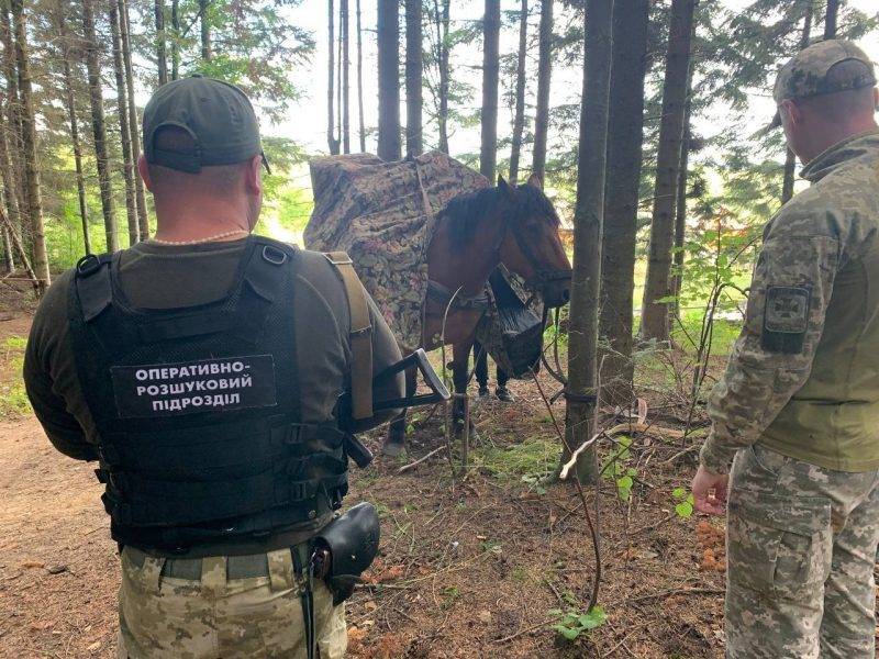 На Буковині контрабандисти конем намагалися перевезти через кордон цигарки