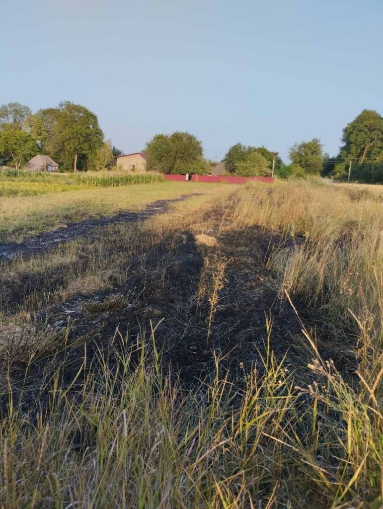 На Франківщині через спалювання сухої трави сильно постраждала жінка