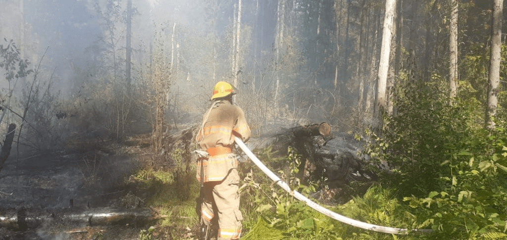 На Прикарпатті вогнеборці гасили лісову пожежу ФОТО