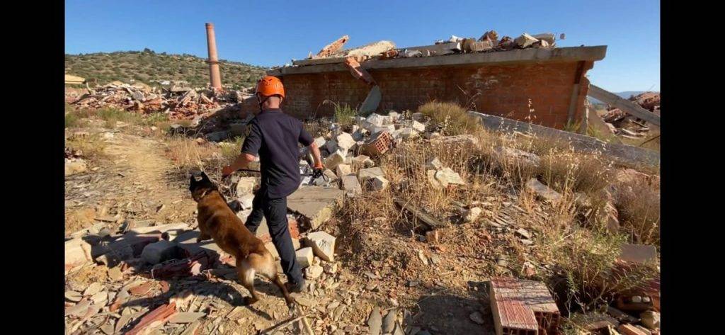 Прикарпатські кінологи,стажування в Португалії,навчання кінологів