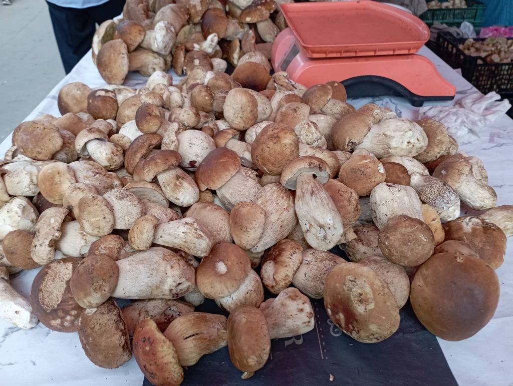 Франківський ринок заполонили білі гриби
