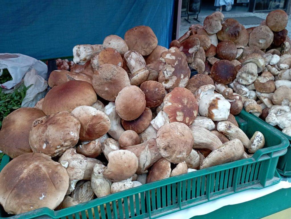 Франківський ринок заполонили білі гриби