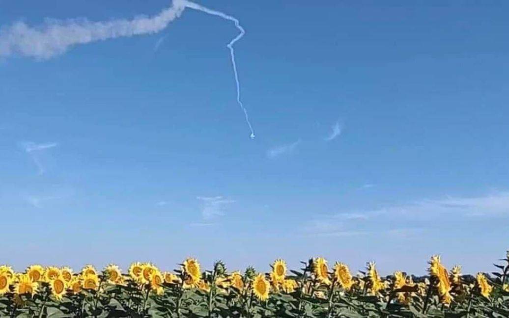 ЗСУ "приземлили" ворожий безпілотник у соняшникове поле на Сумщині