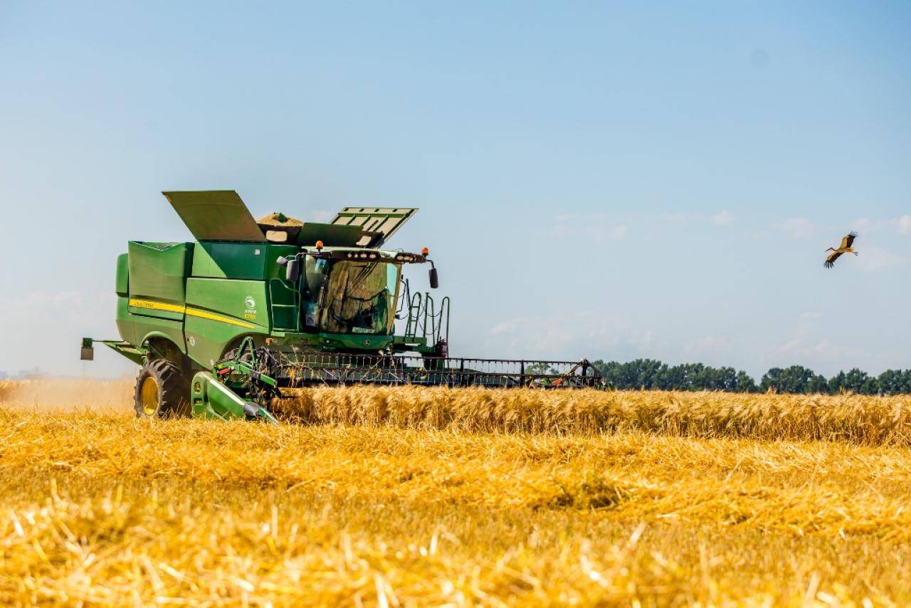 Найвища урожайність зернових та зернобобових культур у аграріїв Івано-Франківщини