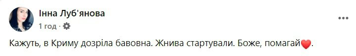 "Пака морюшко, пращай пісочєк" – мережі про вибухи в Криму