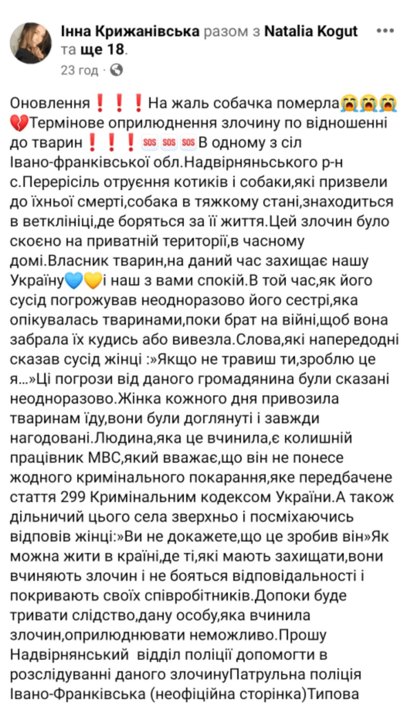 Поліція взялася за справу про отруєння кошенят та собаки на Надвірнянщині